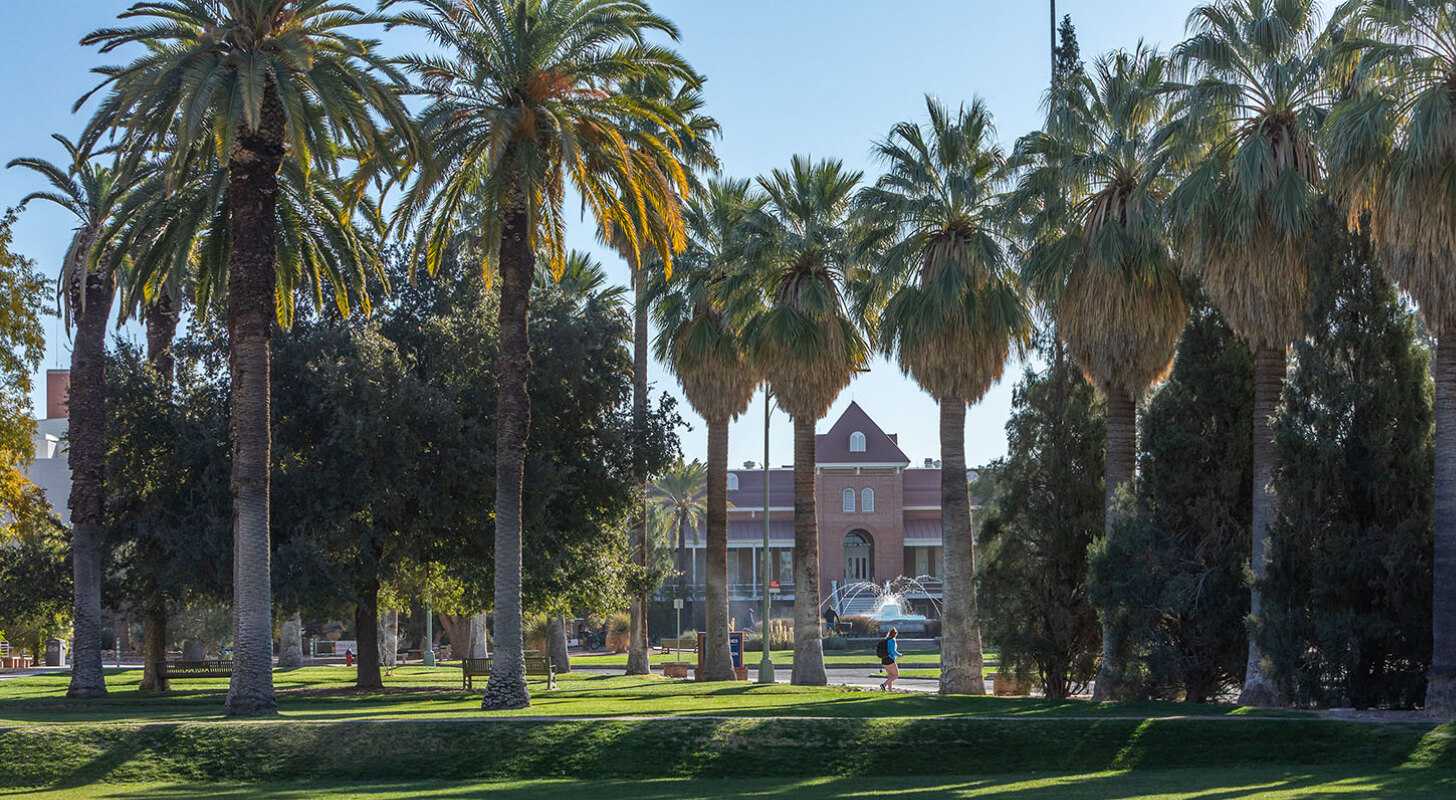 Visit Campus & Tours, University of Arizona