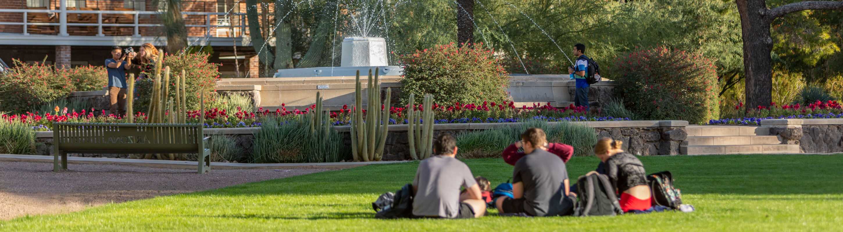 students sitting on grass on the UArizona campus