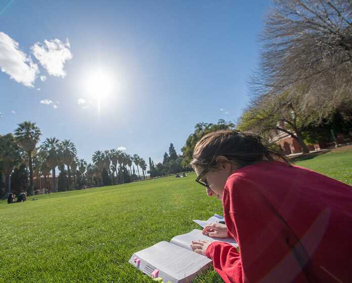 student studying on the grass outside on the UArizona campus
