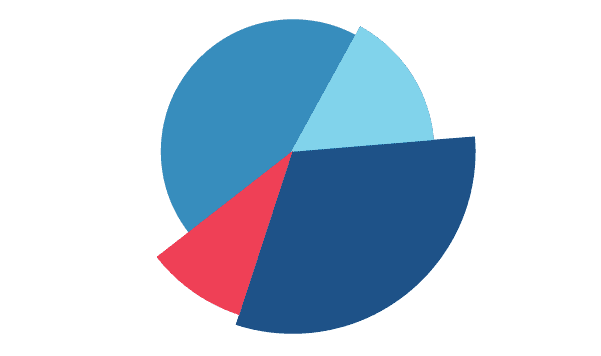 Styled piechart