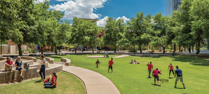 Students playing at Highland Bowl on a sunny day at University of Arizona.
