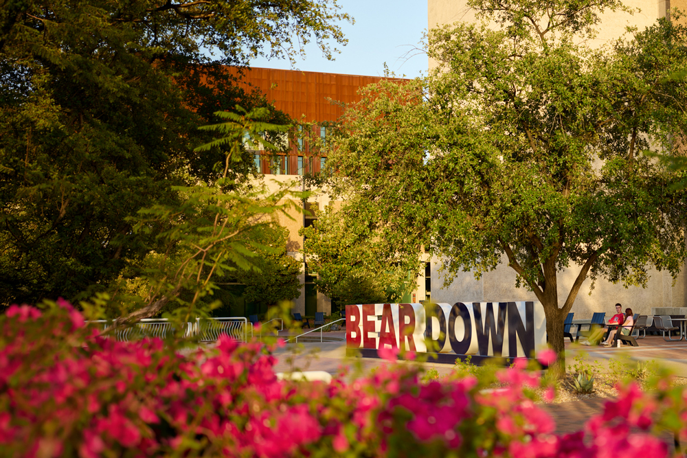 bear down sign