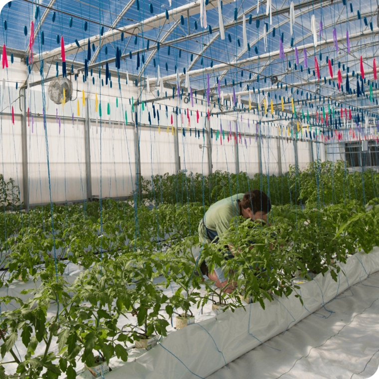 agriculture farm