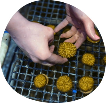 coral reef lab