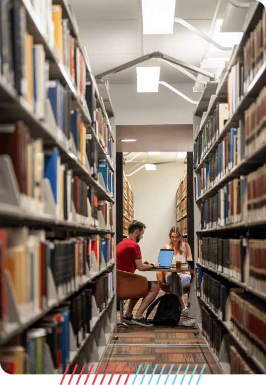 Students studying in the library