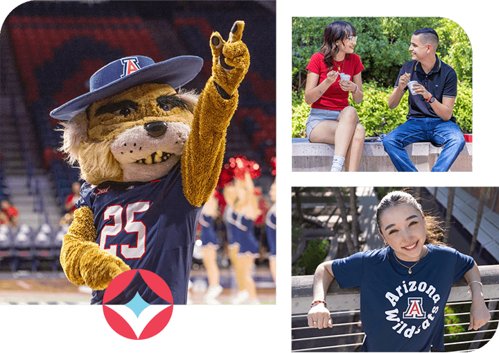 Arizona Wildcats