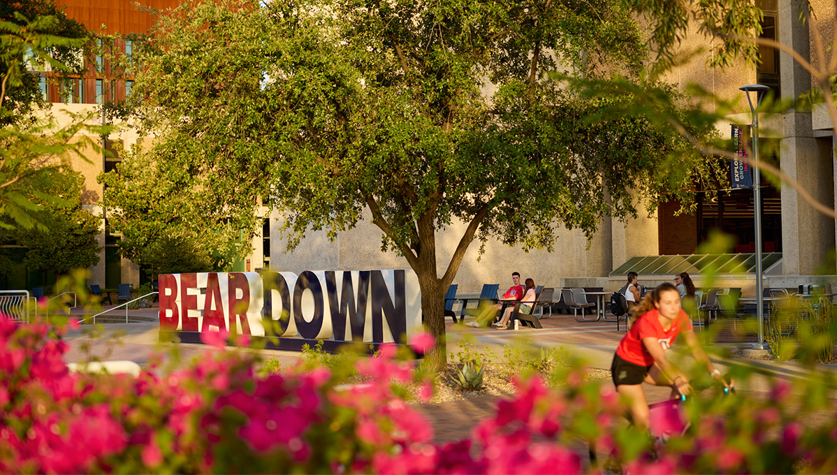 bear down sign on campus