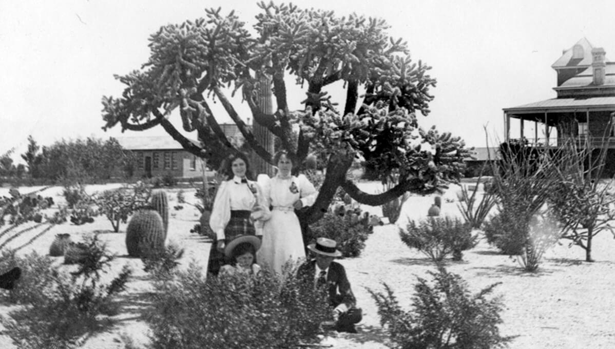 black and white image of the old U of A campus