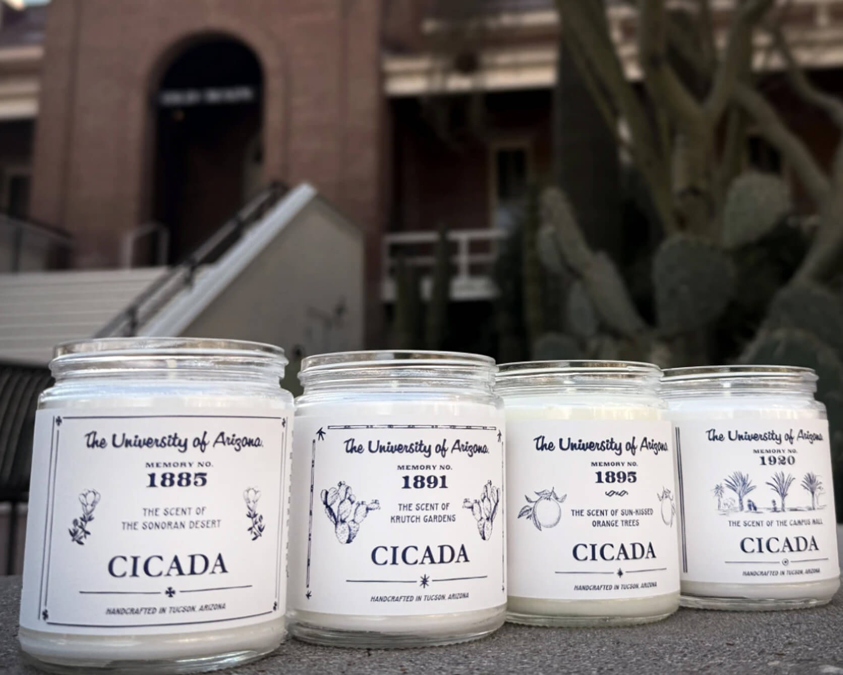 cicada candles