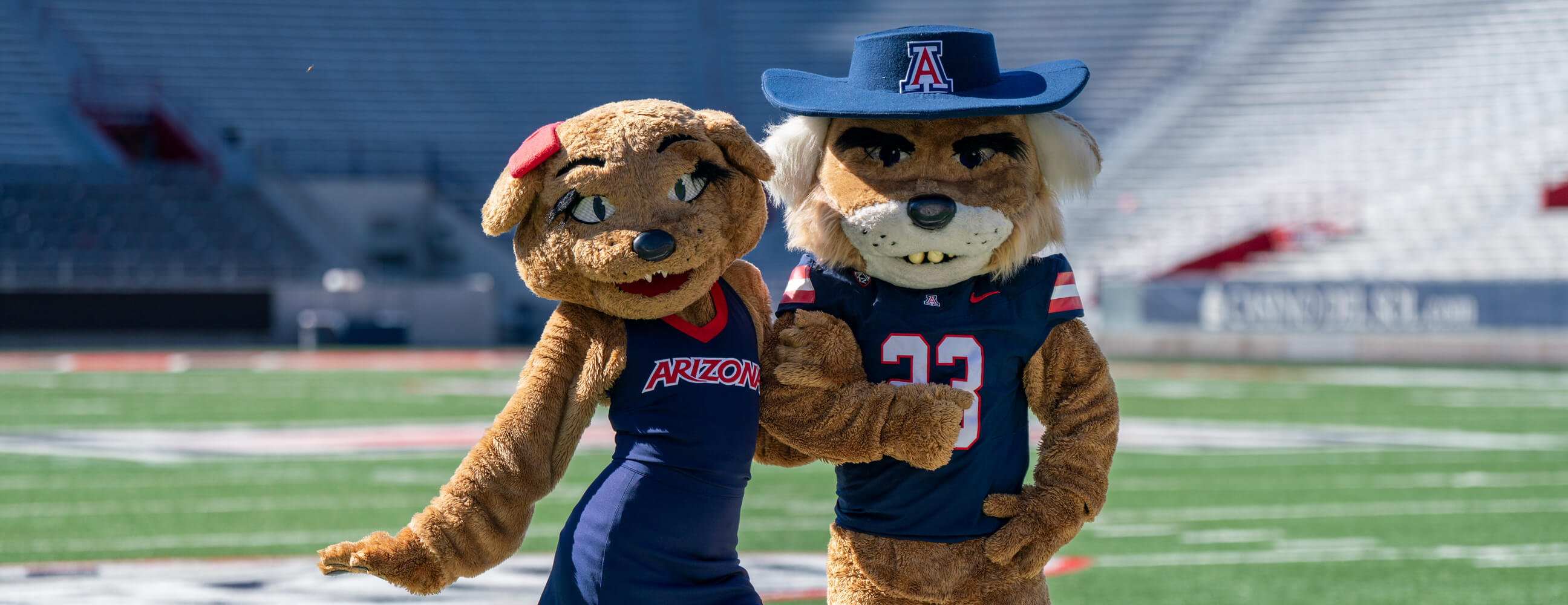 Wilbur & Wilma on the field at Arizona Stadium
