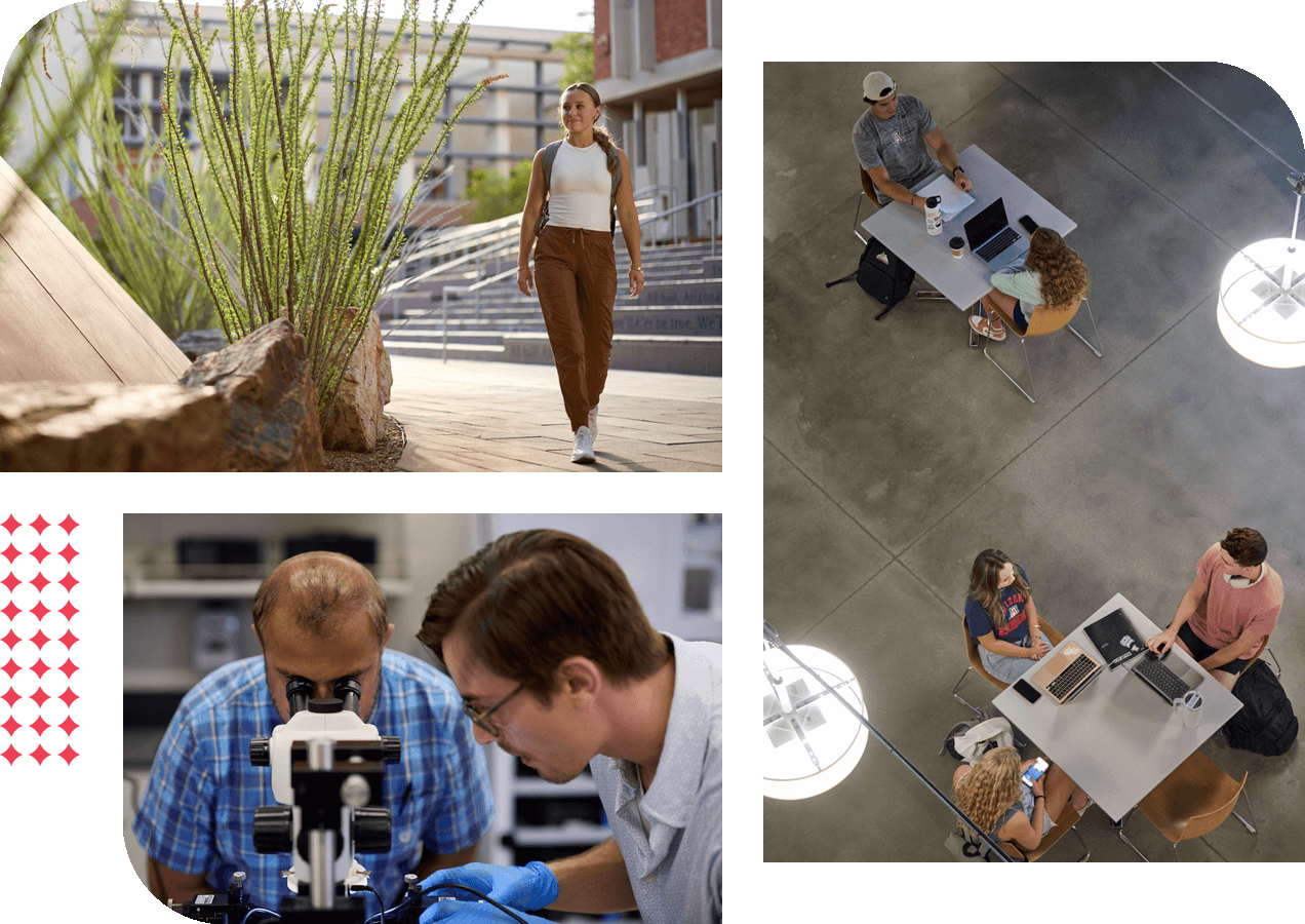 collage of students