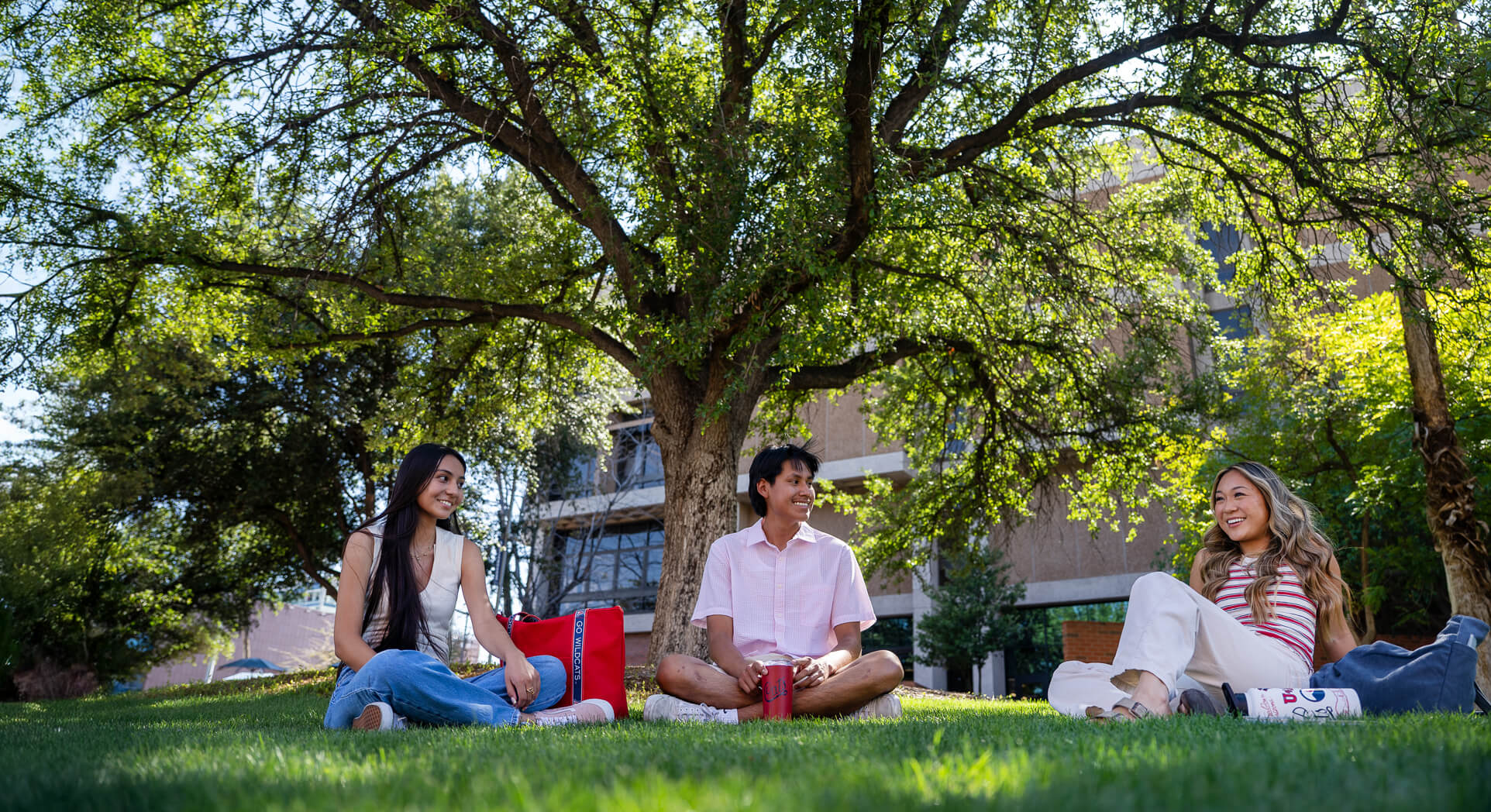students enjoying the shade on the grass