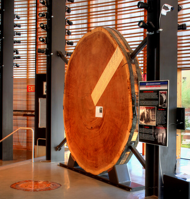 research-overview-tree-ring