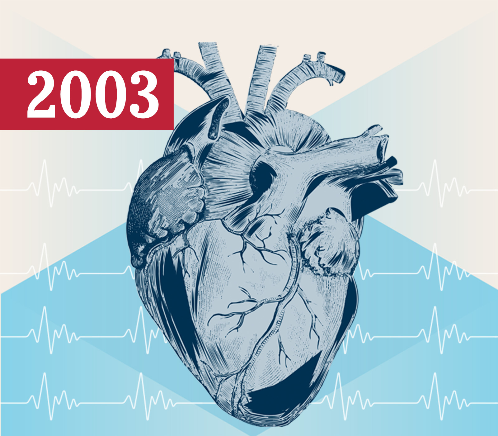 2003 Heart Image