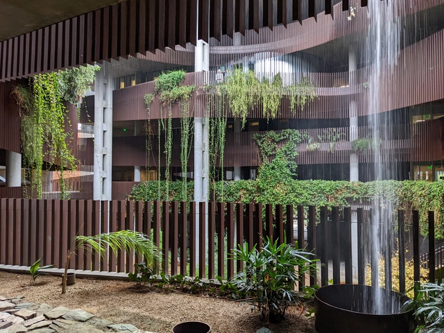 A shot of a building from the balcony of the second floor looking across an interior courtyard area. Plants drape from the courtyard walls and rainwater falls into wide pipes in the ground where it is then captured for later use.