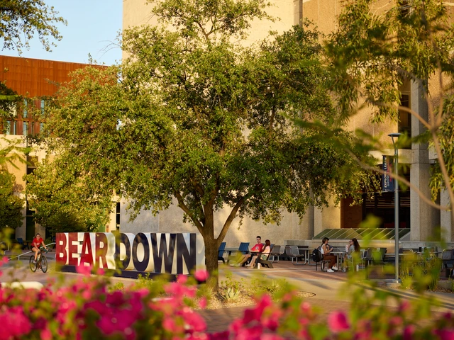 the bear down sign in front of main library at sunset