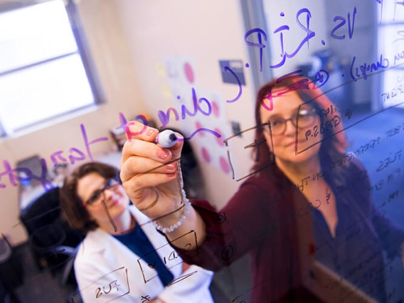 Arizona faculty writing on a clear glass with purple marker