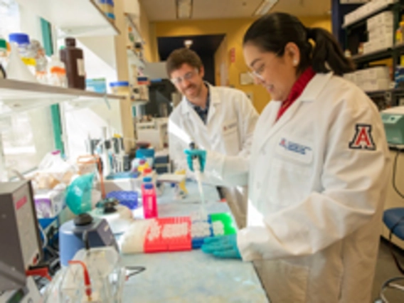 A female scientist in a white lab coat and teal gloves uses a pipette to transfer liquid into small containers in a brightly lit laboratory. A male colleague, also in a lab coat, stands nearby watching. Both lab coats display the U of A logo on the sleeve.