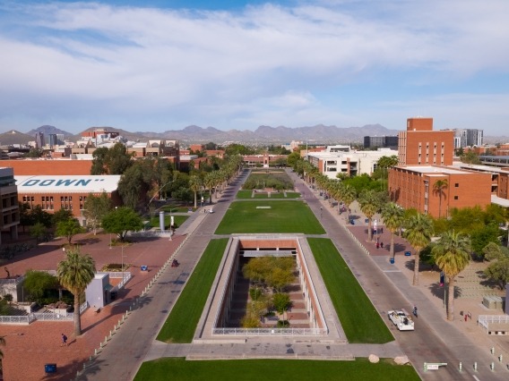 Faculty & Staff | The University of Arizona