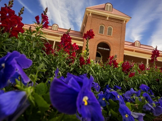 old main rising over a bed of red and blue flowers