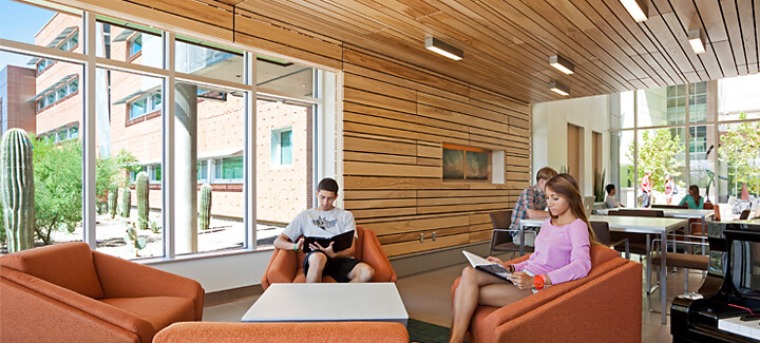 Interior of a University of Arizona dorm with students studying in a common room and living student life.
