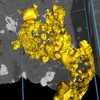 Resembling a raw gold vein, a molten sulfide network is revealed percolating between grey rock in this microscopic image